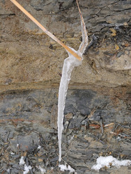 Similar image 22603150