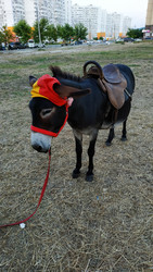 Similar image 22608516