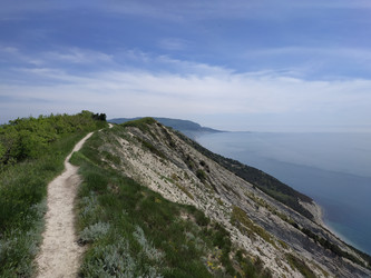 Similar image 22608529