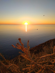 Similar image 22603152