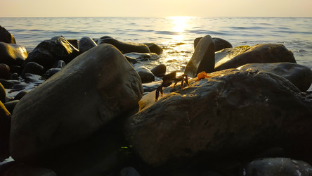 Similar image 22603154