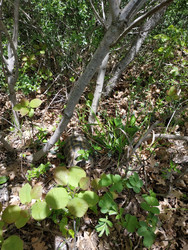 Similar image 22603158