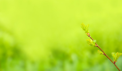 Similar image 22601833