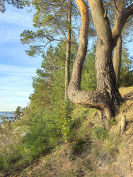 Similar image 22611632