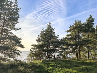 Similar image 22611636