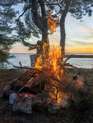 Similar image 22611646