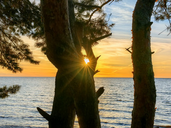 Similar image 22611617