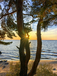 Similar image 22611618