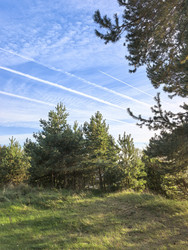 Similar image 22611624