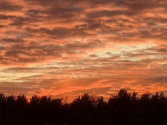 Similar image 22611645