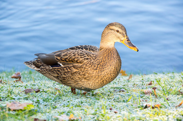 Similar image 22602082