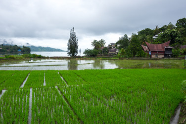 Similar image 22602085