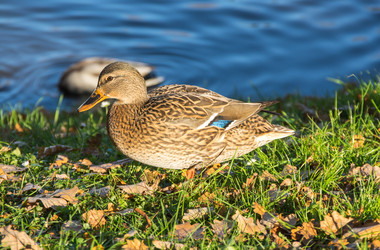 Similar image 22602089