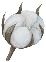 Similar image 22602165