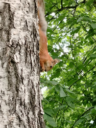 Similar image 22602114