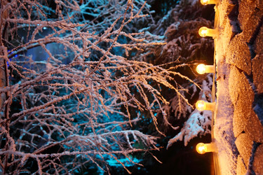 Similar image 22601917