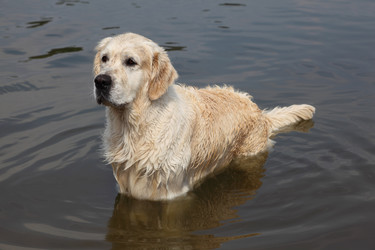 Similar image 22609727