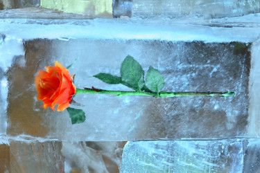 Similar image 22609817