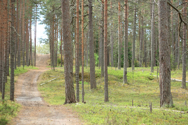 Similar image 22602244