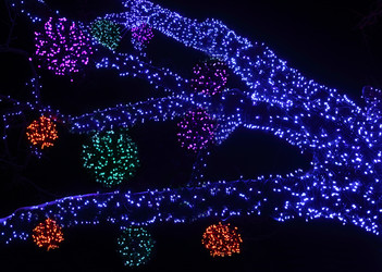 Similar image 22609233