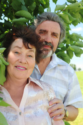 Similar image 22610256