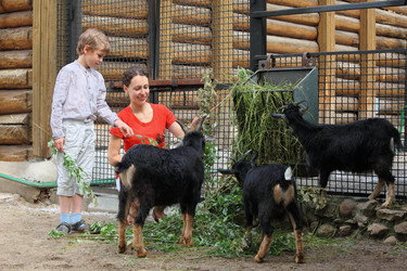 Similar image 22609297