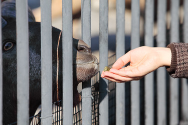 Similar image 22612012