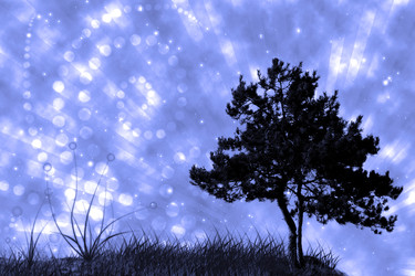 Similar image 22612024