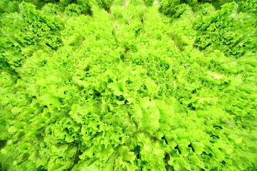 Similar image 22612044