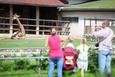 Similar image 22607250