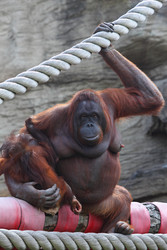 Similar image 22610080