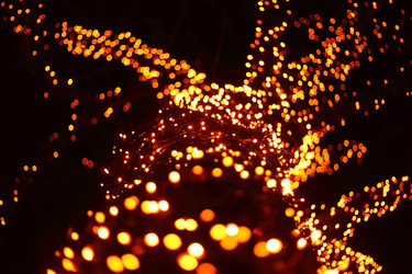 Similar image 22609763