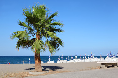 Similar image 22609404