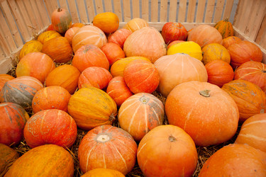 Similar image 22609827