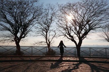 Similar image 22609466