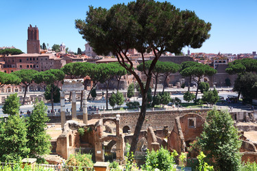 Similar image 22609467