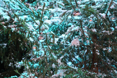 Similar image 22609721