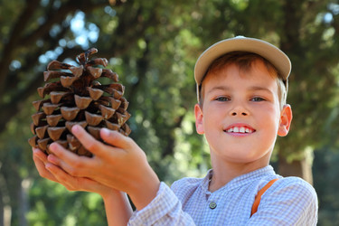 Similar image 22609977