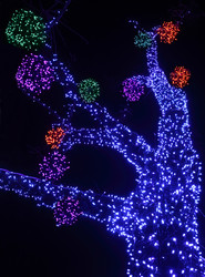 Similar image 22609675