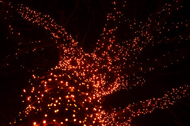 Similar image 22612094