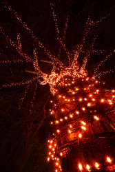 Similar image 22609559