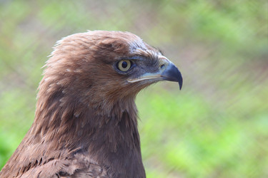 Similar image 22610025