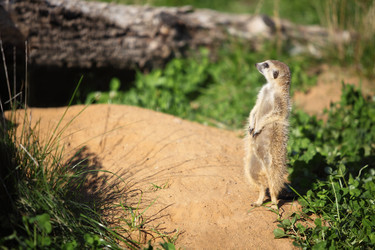 Similar image 22610086