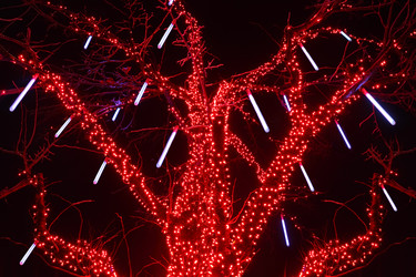 Similar image 22610131