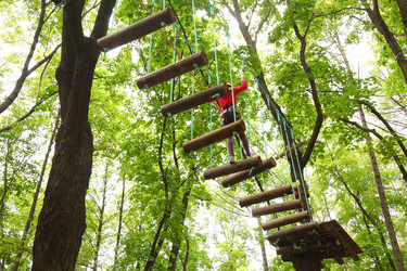 Similar image 22609590