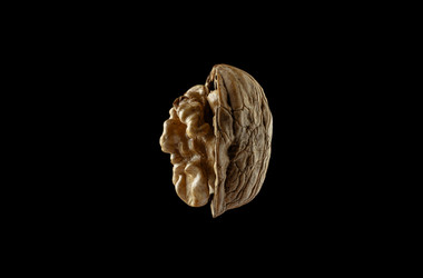 Similar image 22618111