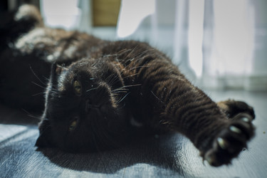 Similar image 22610674