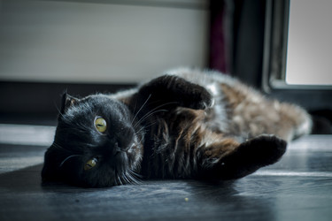 Similar image 22610675