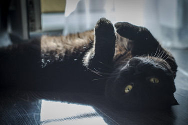 Similar image 22610676