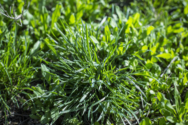 Similar image 22610677